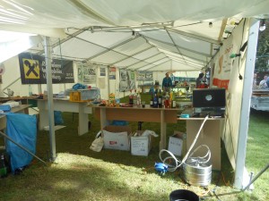 Sommernachtsfest (234)