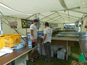 Sommernachtsfest (30)